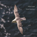 Wild Looe-9780906720943