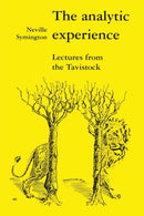 The Analytic Experience : Lectures from the Tavistock-9780946960309