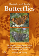 British and Irish Butterflies : The Complete Identification, Field and Site Guide to the Species, Subspecies and Forms-9780955392801