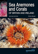 Sea Anemones and Corals of Britain and Ireland-9780957394636