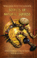 Secrets of Natural Success : Five Steps to Unlocking Your Genius-9780987634313