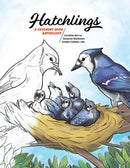 Hatchlings : A Coloring Book Anthology-9780988188990