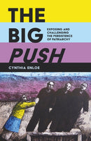 The Big Push : Exposing and Challenging the Persistence of Patriarchy-9780995590007