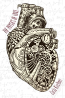 The Physics of Love-9780996475457