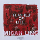 Flashes Of Life-9780996494915