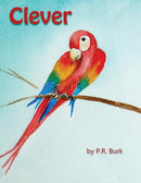 Clever-9780996694049