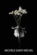 Grief Is an Origami Swan : An Art Book About Grief-9780999902011