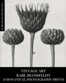 Vintage Art : Karl Blossfeldt 20 Botanical Photography Prints-9781006605314