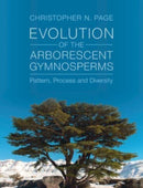 Evolution of the Arborescent Gymnosperms Set