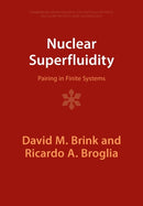 Nuclear Superfluidity