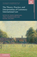 The Theory, Practice, and Interpretation of Customary International Law-9781009505505