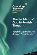 God and the Problem of Epistemic Defeaters-9781009539029