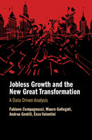 Jobless Growth and the New Great Transformation