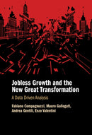 Jobless Growth and the New Great Transformation