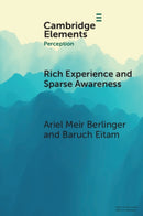 Rich Experience and Sparse Awareness