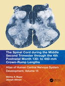 The Spinal Cord during the Middle Second Trimester through the 4th Postnatal Month 130- to 440-mm Crown-Rump Lengths : Atlas of Human Central Nervous System Development, Volume 15-9781032229102