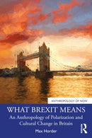 What Brexit Means : An Anthropology of Polarization and Cultural Change in Britain-9781032602936