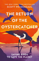 The Return of the Oystercatcher : Saving Birds to Save the Planet-9781035016518