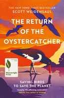 The Return of the Oystercatcher