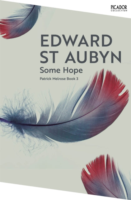 Some Hope-9781035063574