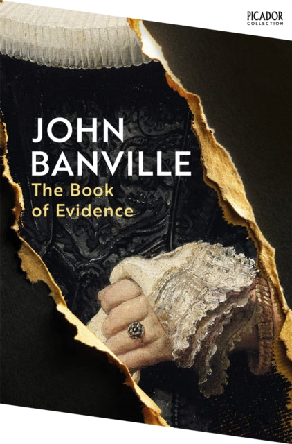 The Book of Evidence-9781035076796