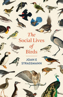 The Social Lives of Birds-9781035417131