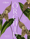 Orchid