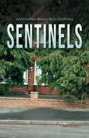 Sentinels-9781035813698