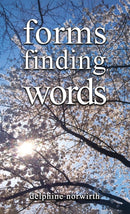 forms finding words-9781035824052