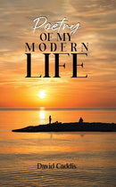 Poetry of My Modern Life-9781035840809