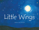 Little Wings-9781035850839