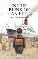 In the Blink of an Eye-9781035894680