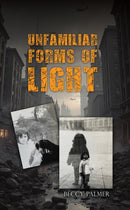 Unfamiliar Forms of Light-9781035896943
