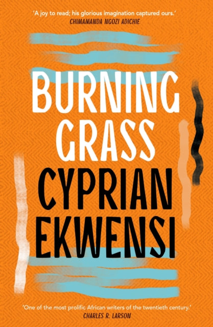 Burning Grass-9781035906017