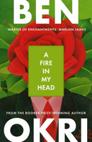 A Fire in My Head