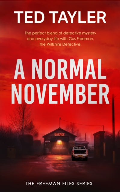 A Normal November : A Cold Case Murder Mystery Series-9781036705015