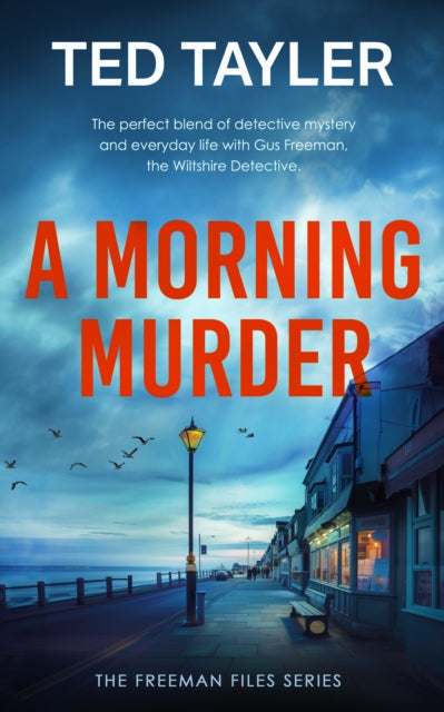 A Morning Murder : A Cold Case Murder Mystery Series-9781036705060