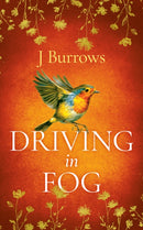 Driving in Fog