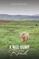 A Wee Bump in the Road