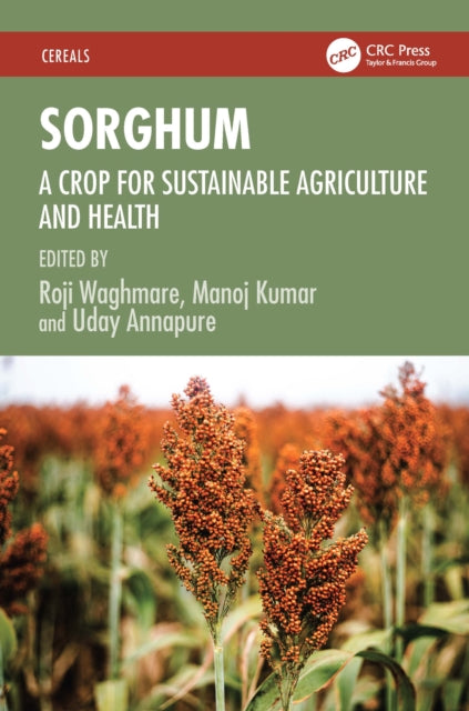 Sorghum