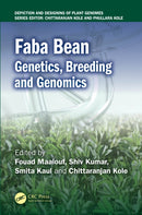 Faba Bean