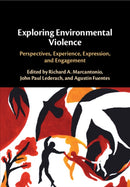 Exploring Environmental Violence