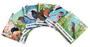 Enchanted Nature - Garden Birds Pack : Pack of Six Decodable Readers (Ages 5-7)-9781068157691