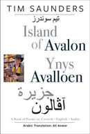 Island of Avalon / Ynys Avalloen