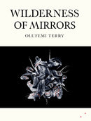 Wilderness of Mirrors