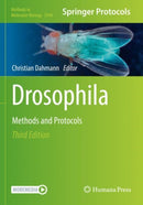 Drosophila : Methods and Protocols-9781071625439