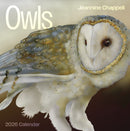 Owls: Jeannine Chappell 2026 Wall Calendar-9781087511795