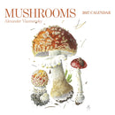 Mushrooms: Alexander Viazmensky 2027 Wall Calendar-9781087514611