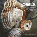 Owls: Jeannine Chappell 2027 Wall Calendar-9781087514796