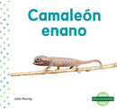 Camaleon enano (Leaf Chameleon)